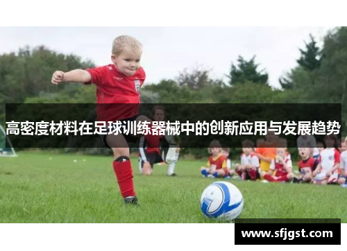 高密度材料在足球训练器械中的创新应用与发展趋势