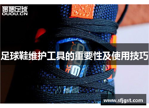 足球鞋维护工具的重要性及使用技巧